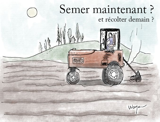 Campagne par Léo Waya